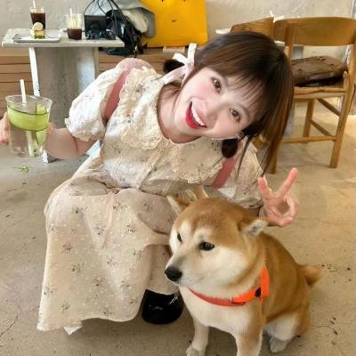 字典情人